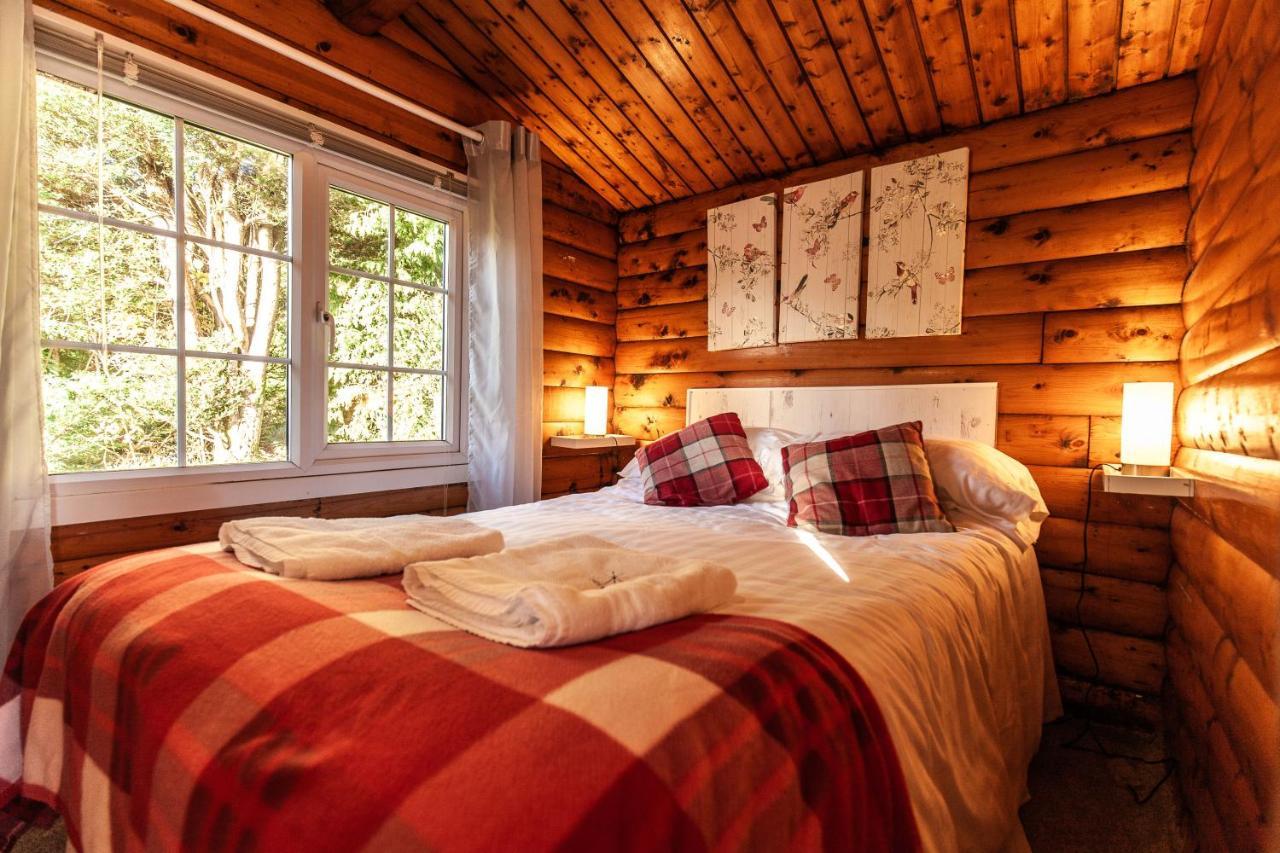 Welsh Retreat 2 Bedroom Log Cabin - Seren Property Trawsfynydd Zewnętrze zdjęcie