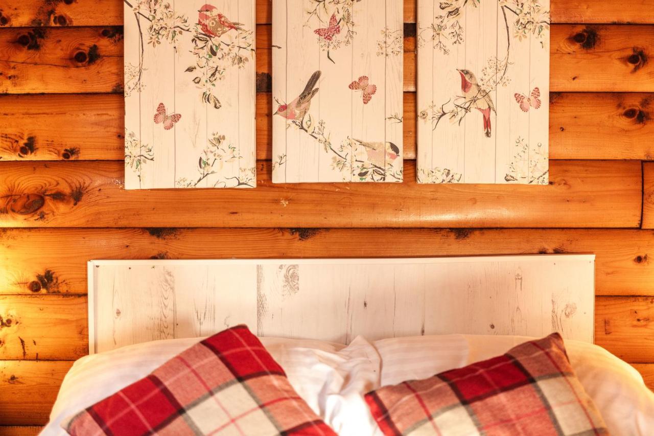 Welsh Retreat 2 Bedroom Log Cabin - Seren Property Trawsfynydd Zewnętrze zdjęcie