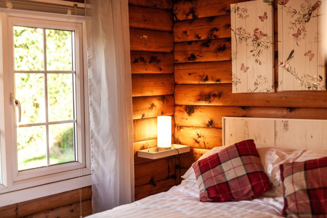 Welsh Retreat 2 Bedroom Log Cabin - Seren Property Trawsfynydd Zewnętrze zdjęcie